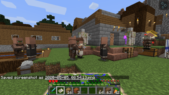 2020-05-05_08.54.16-village