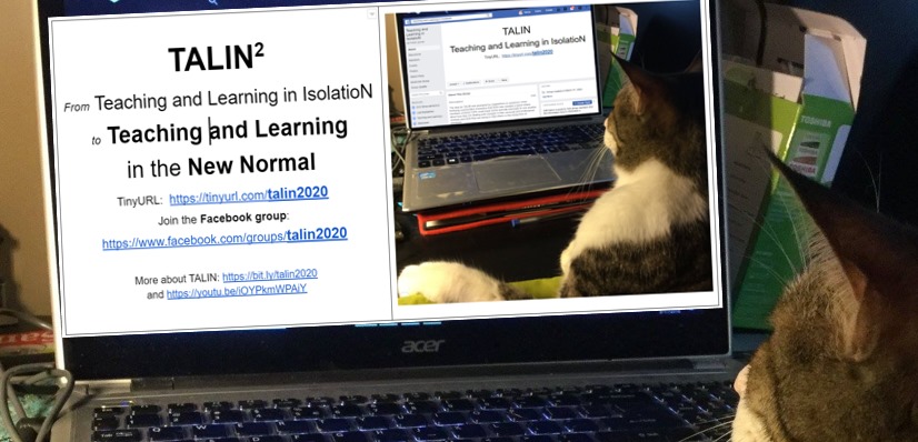 talin2020fb